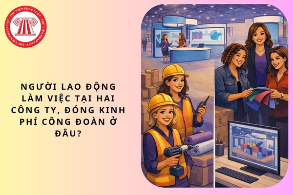 Pháp luật