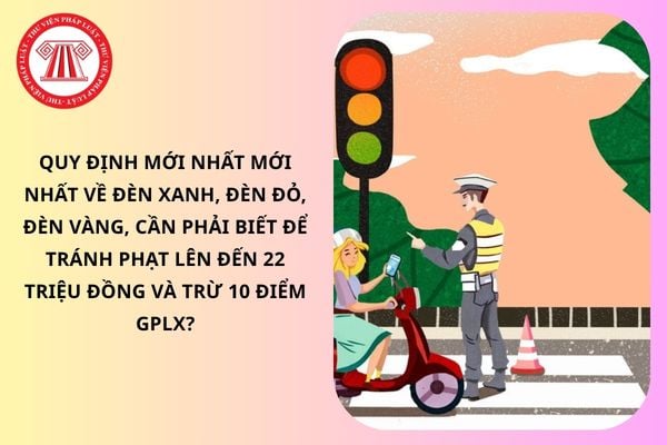 Pháp luật