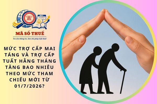 Pháp luật