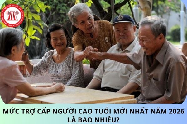 Pháp luật