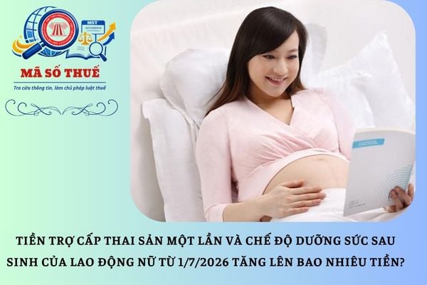 Pháp luật