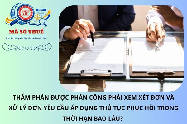 Pháp luật