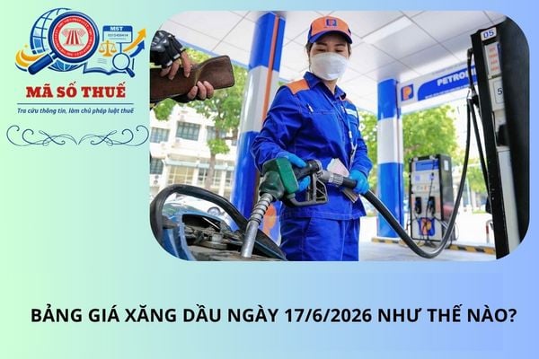 Pháp luật