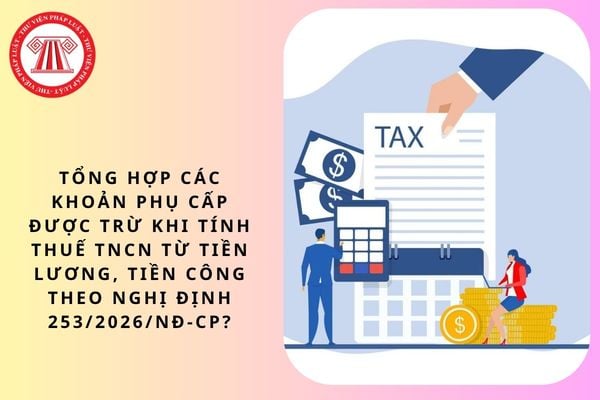 Pháp luật