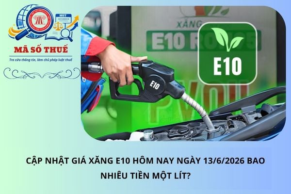 Cập nhật giá xăng E10 hôm nay ngày 13/6/2026 bao nhiêu tiền một lít?