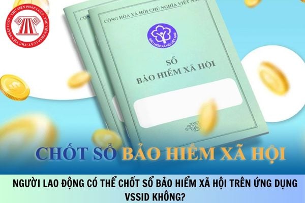 Pháp luật