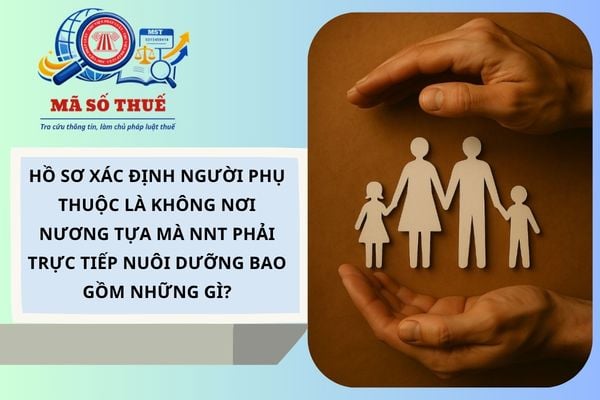 Pháp luật