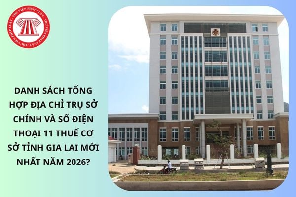 Pháp luật