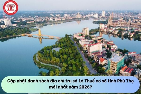 Pháp luật