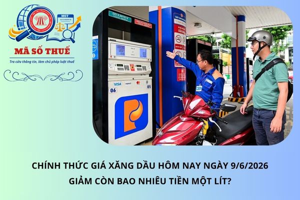 Pháp luật