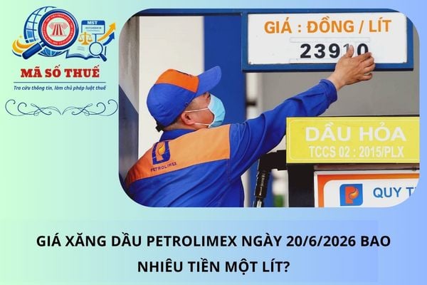 Pháp luật
