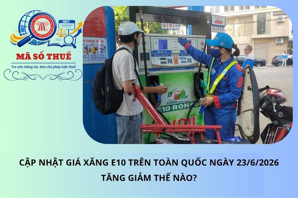 Pháp luật
