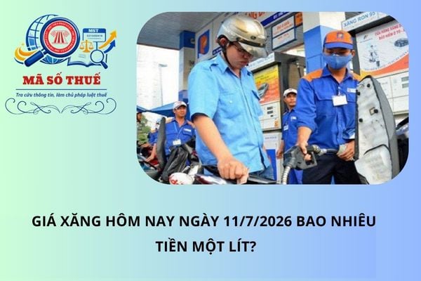 Pháp luật
