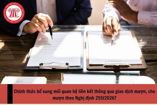 Pháp luật