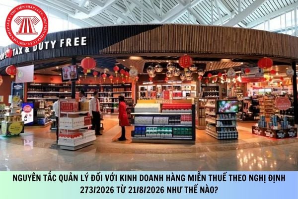 Pháp luật