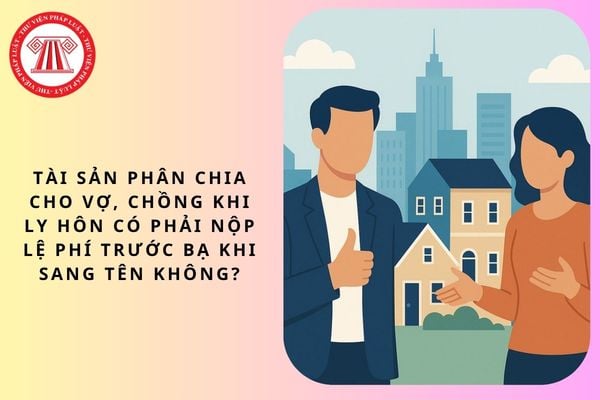 Pháp luật