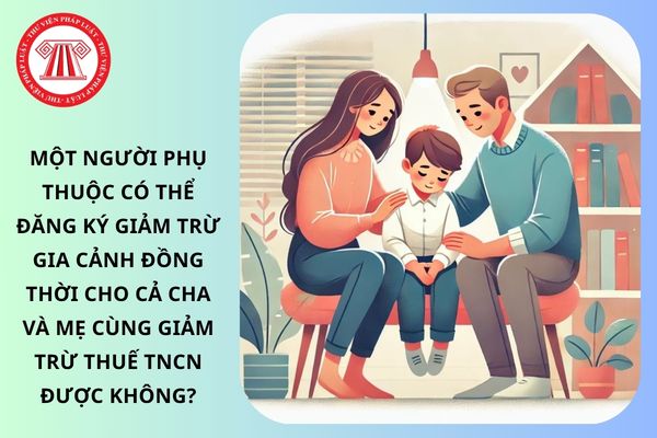 Pháp luật