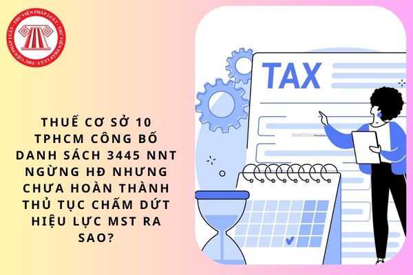 Pháp luật