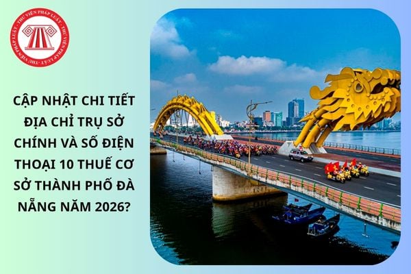 Pháp luật
