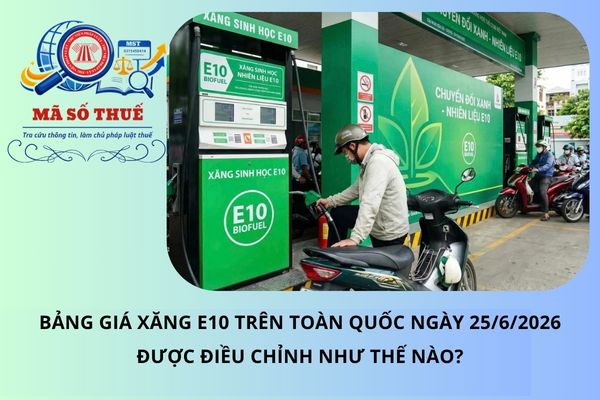 Pháp luật