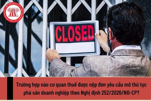 Pháp luật