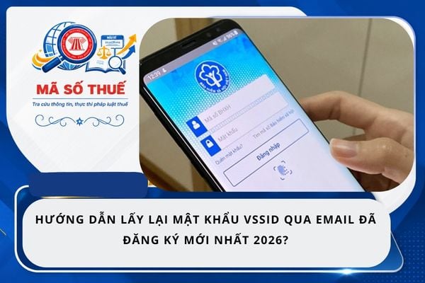 Pháp luật