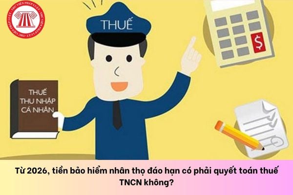 Pháp luật