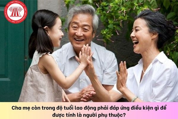 Cha mẹ còn trong độ tuổi lao động phải đáp ứng điều kiện gì để được tính là người phụ thuộc?