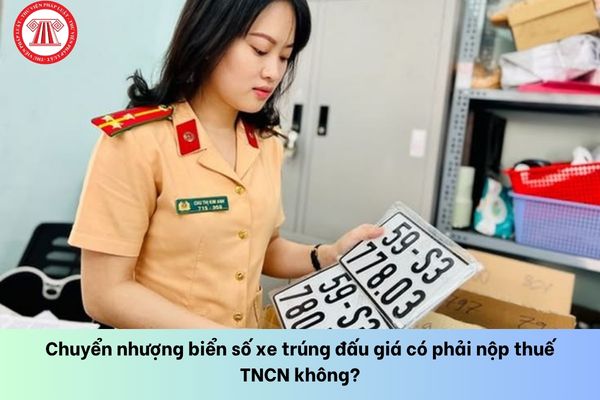 Pháp luật