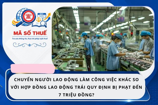 Pháp luật