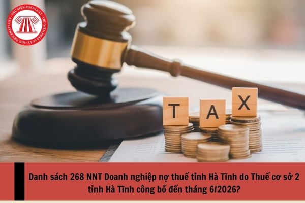 Pháp luật