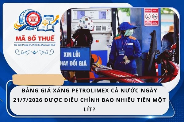 Pháp luật