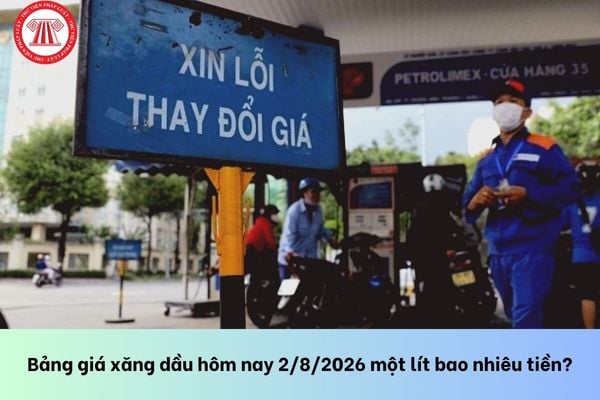 Pháp luật