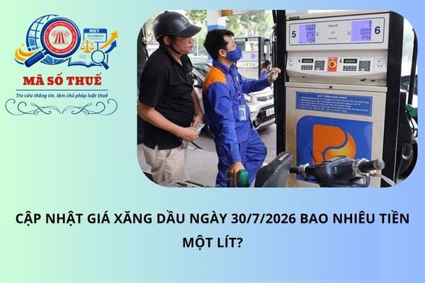 Pháp luật