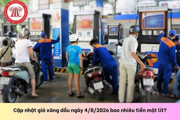 Pháp luật