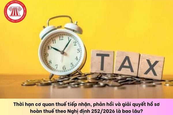Pháp luật
