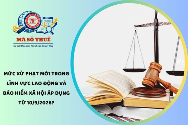 Pháp luật