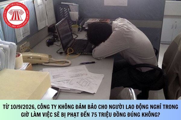 Pháp luật