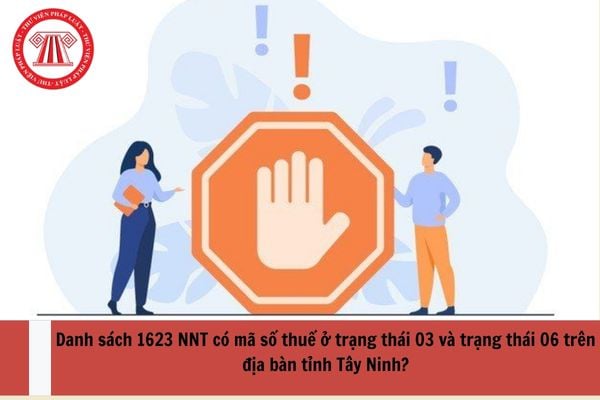 Danh sách 1623 NNT có mã số thuế ở trạng thái 03 và trạng thái 06 trên địa bàn tỉnh Tây Ninh?