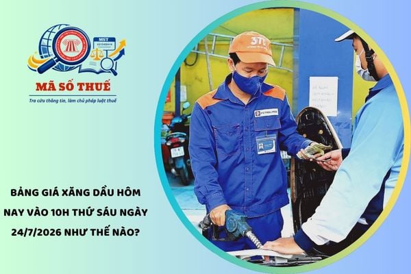 Pháp luật