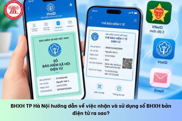 Pháp luật