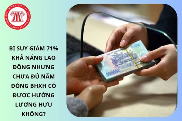 Pháp luật