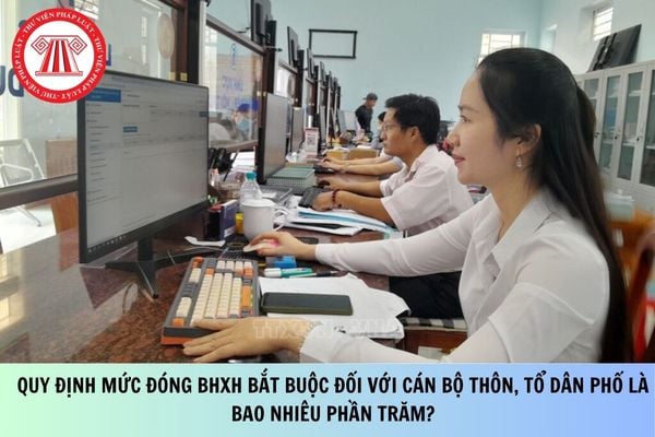 Pháp luật