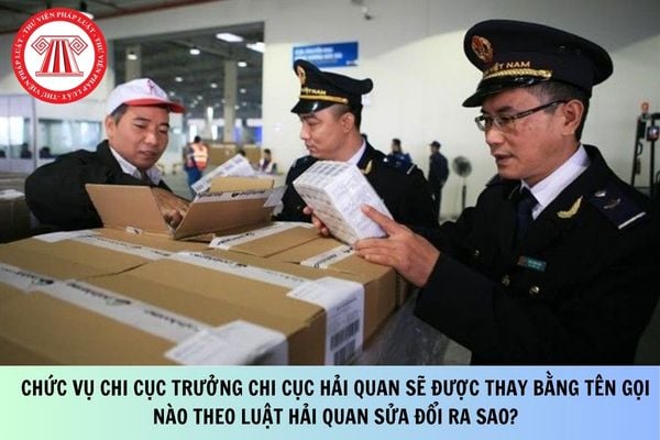 Pháp luật