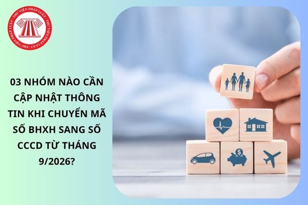 Pháp luật