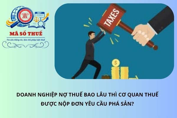 Pháp luật