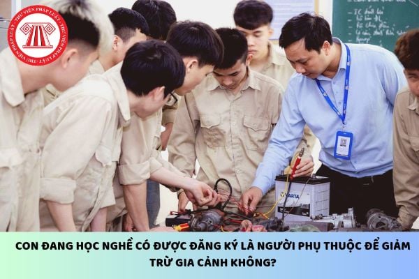 Pháp luật