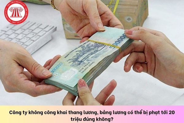 Pháp luật