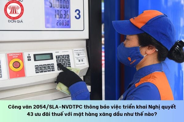 Pháp luật