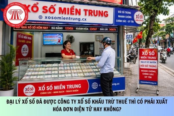 Pháp luật